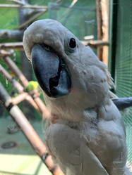 Similar image 21699836