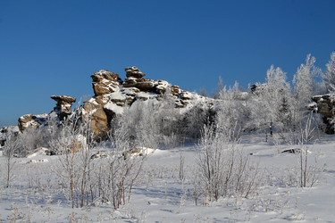 Similar image 21699837