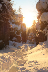 Similar image 21699838