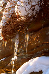 Similar image 21699839