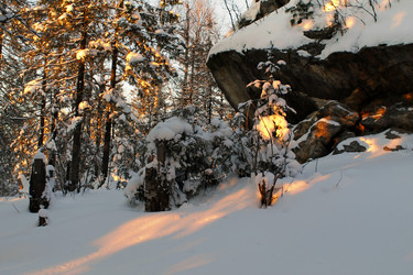 Similar image 21699842