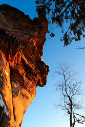 Similar image 21701629