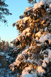 Similar image 21701635