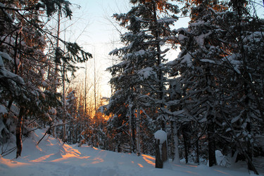 Similar image 21703113