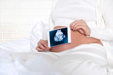 Similar image 21697201