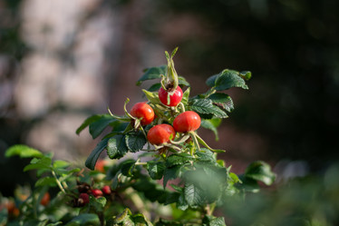 Similar image 21693839