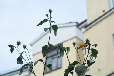 Similar image 21693840