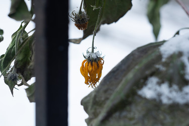 Similar image 21693841