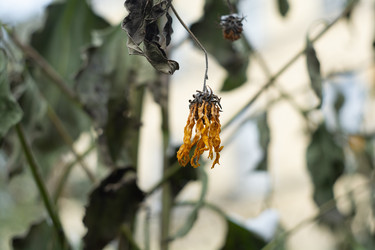 Similar image 21693842