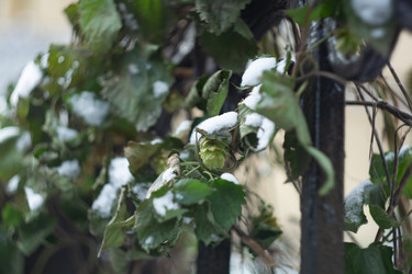 Similar image 21693843