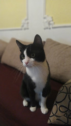 Similar image 21692273