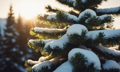 Similar image 21697906