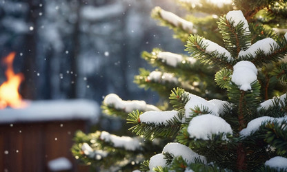 Similar image 21697705