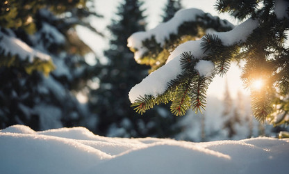 Similar image 21697919