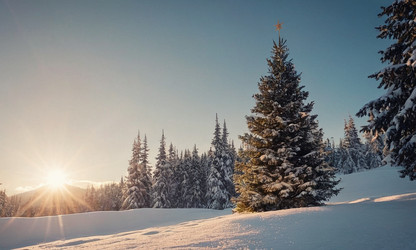 Similar image 21697940