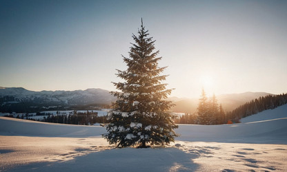 Similar image 21697961