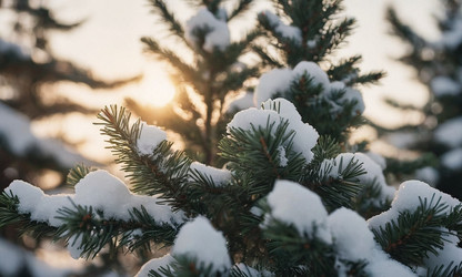 Similar image 21697967