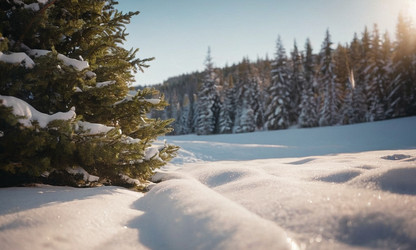 Similar image 21697726