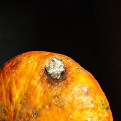 Similar image 21692660