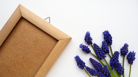 Similar image 21692274