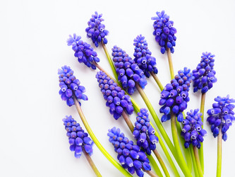 Similar image 21692277