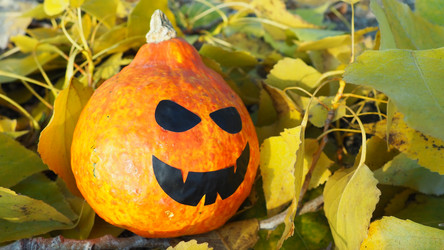 Similar image 21692279