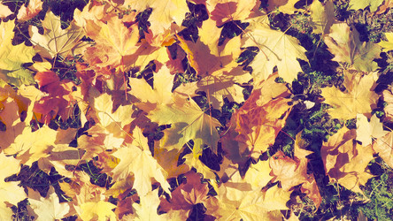 Similar image 21692478