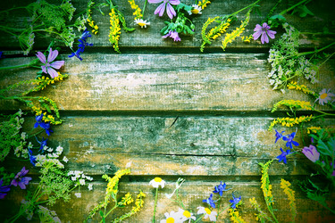 Similar image 21692479