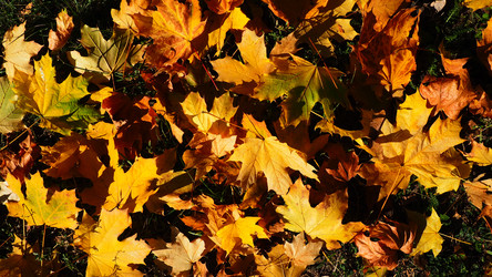 Similar image 21692480