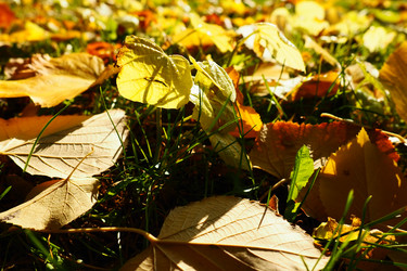 Similar image 21692483