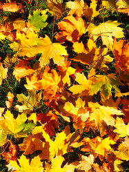 Similar image 21692484