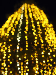 Similar image 21692491