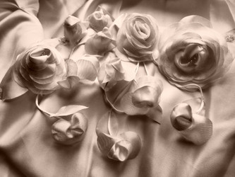 Similar image 21692287