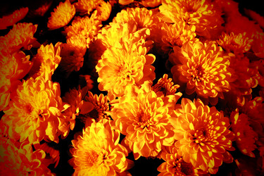 Similar image 21692499