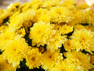 Similar image 21692500