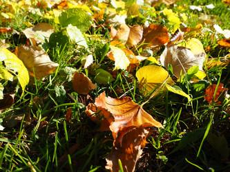 Similar image 21692502