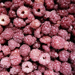 Similar image 21692506