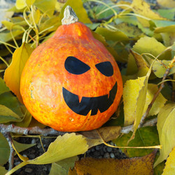 Similar image 21692662