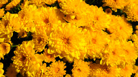 Similar image 21692663