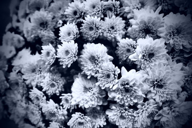 Similar image 21692664