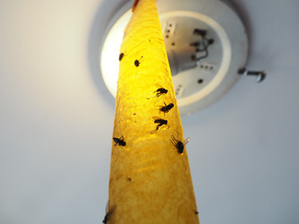 Similar image 21692295