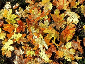 Similar image 21692298