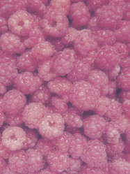 Similar image 21692307