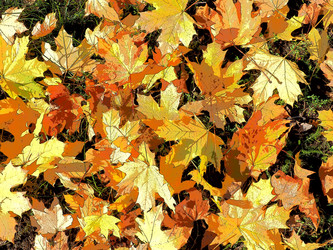 Similar image 21692310