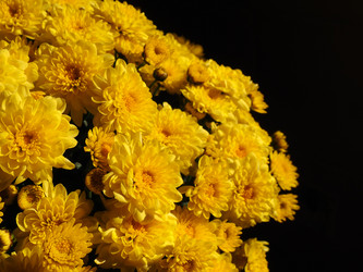 Similar image 21692314