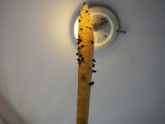 Similar image 21692317