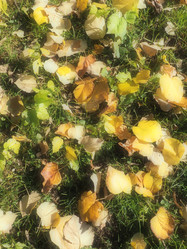 Similar image 21692318