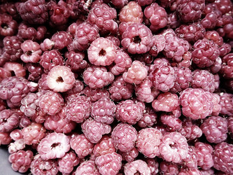 Similar image 21692321