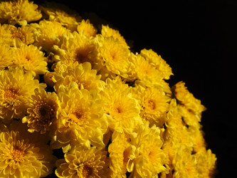 Similar image 21692324