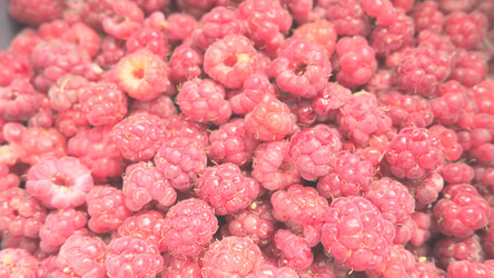 Similar image 21692327